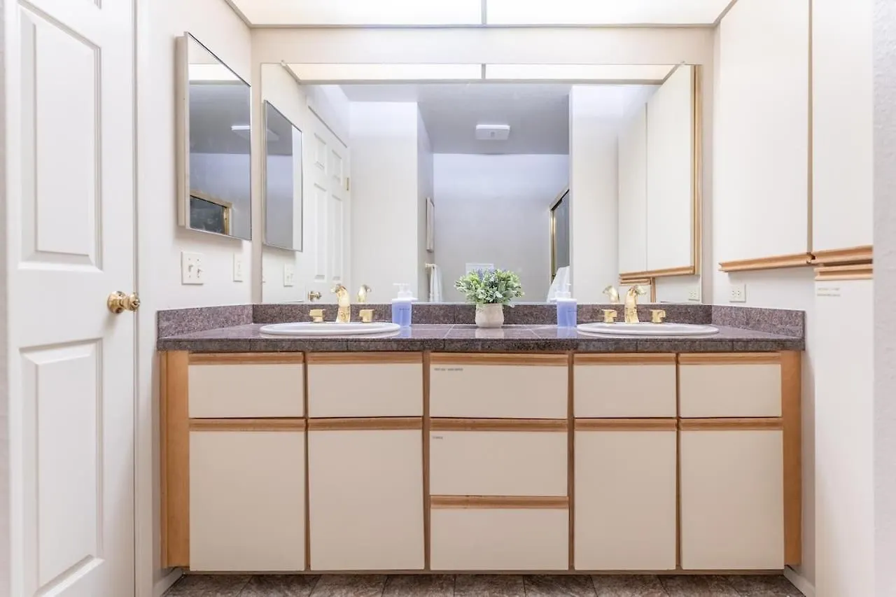 Apartment Tranquil Apt 2 King Suites Pet Friendly Near Dt Bellevue